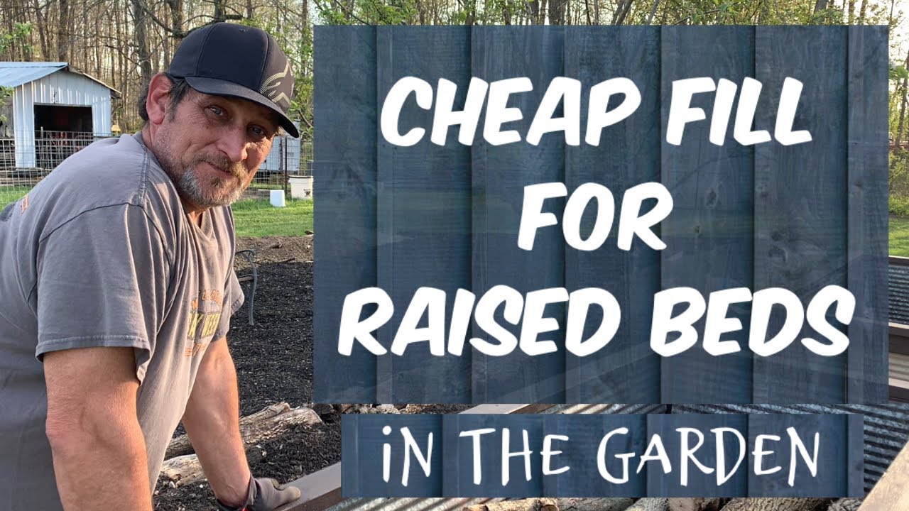 FILLING RAISED BEDS / Mushroom Hunting / HUGELKULTUR RAISED BEDS YouTube