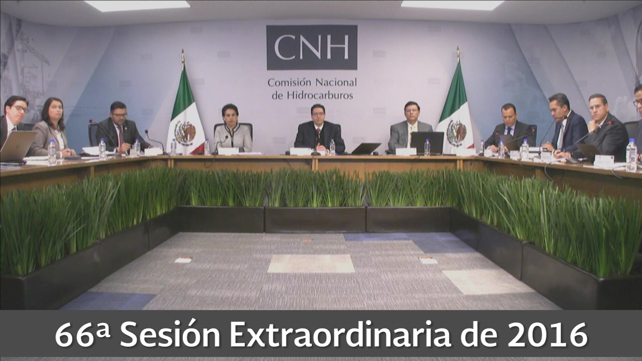 Resumen 66ª Sesión Extraordinaria 2016 cnhl