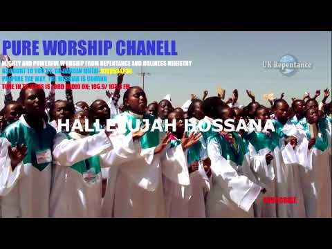 Hallelujah Hosanna  Repentance and holiness Worship
