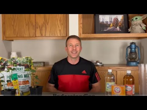 How to conduct a controlled experiment