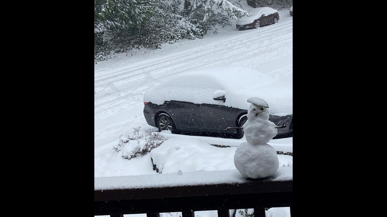 A day of snow Bellevue in 2021 YouTube
