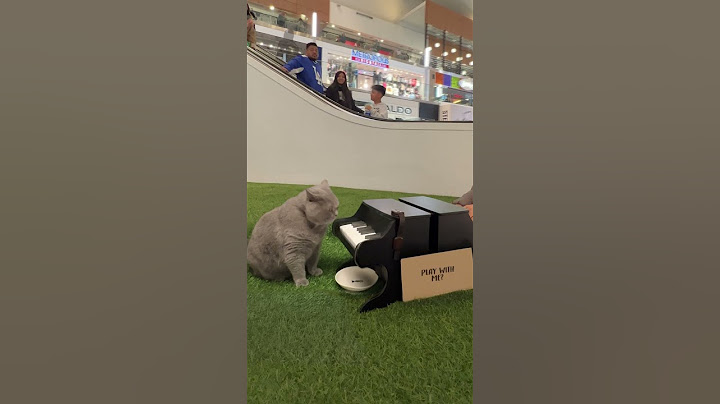Michael's first mall performance...