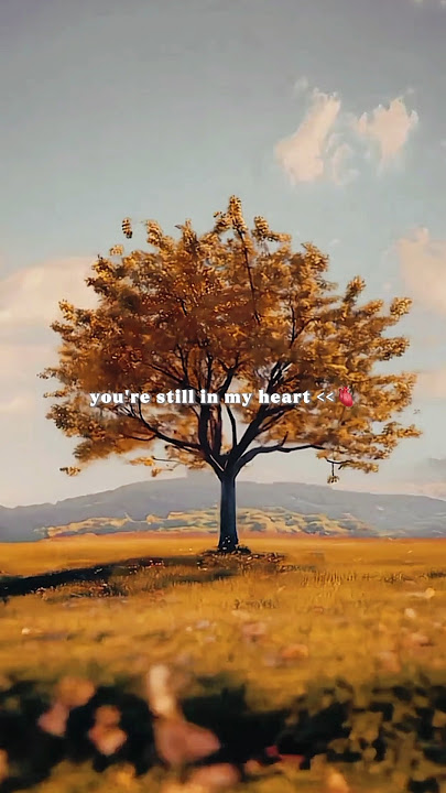 SNAP - Rosa Linn ❤️ | Aesthetic edits | Lyrics | speedup        #shorts #lyrics #snap #trending