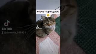 Народ творит добро #shorts