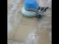 مكينة غسيل السجاد والموكيت وغسيل وتلميع جميع الارضيات الصلبة الايطالية سنجل ديسك 