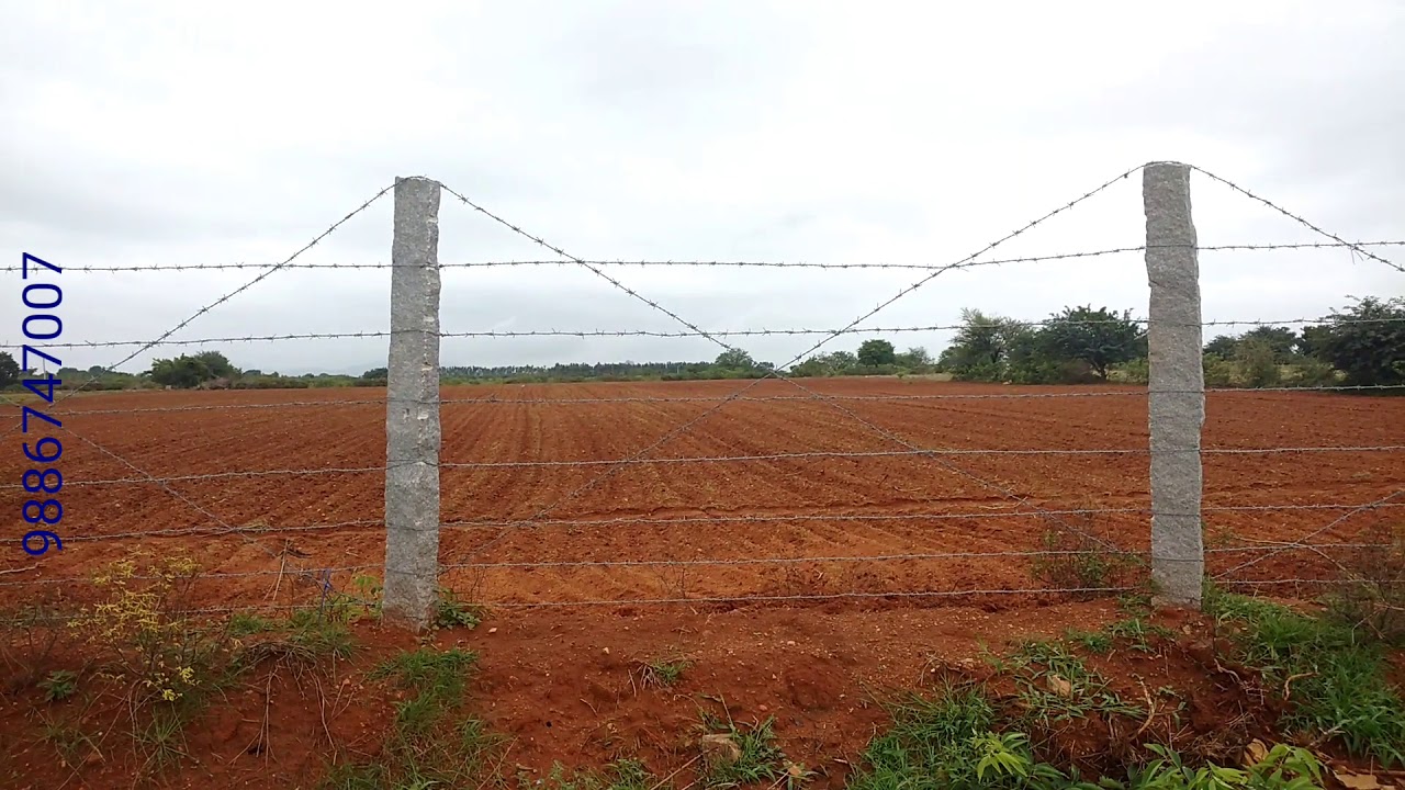 ముళ్ల తంతి 🔗 వేయు విధానము ⛓ మరియు పాటించే పద్ధతులు 🛃  క్లుప్తంగా వివరించబడినది 🚼