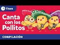 Sing with Los Pollitos | Bilingual Kids Songs in Spanish &amp; English | Cultural Traditions Mp3 Song