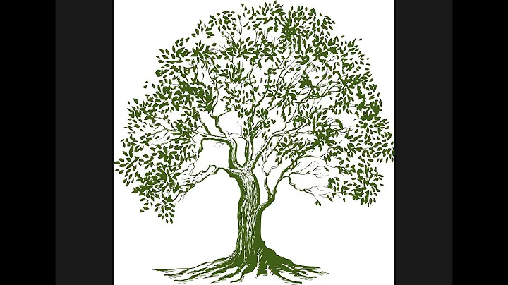 Preserve Wealth Management Introduction