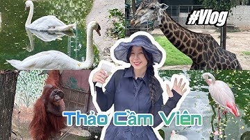 Một vé đi về tuổi thơ tại Thảo Cầm Viên Sài Gòn | Ngắm thú - chill -vui bất ngờ chữa lành tại Sở thú