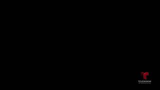 Telemundo Internacional Screen bug (Remake) (2012-2018)