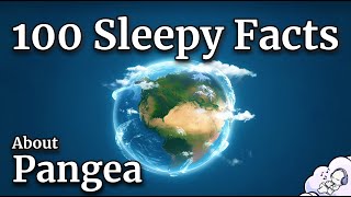What Was It Like Before The Continents Separated? (A Calm Science Documentary)