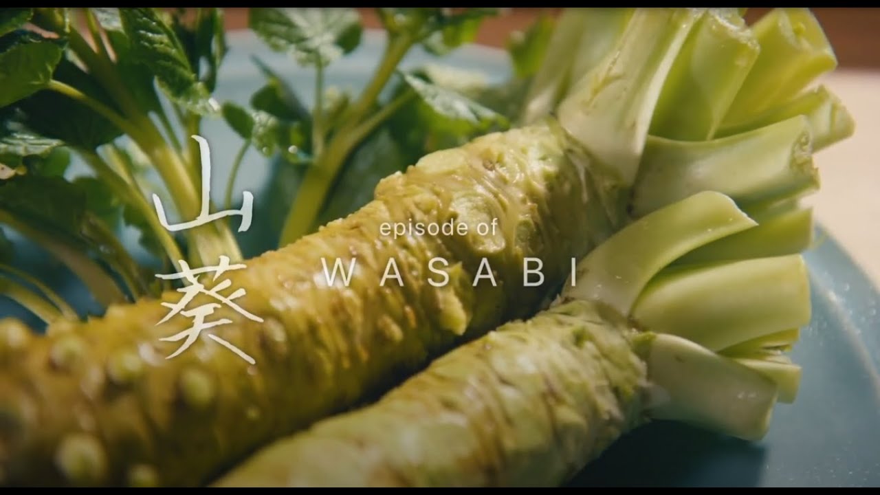 わさび | Stories of Nagano, Japan