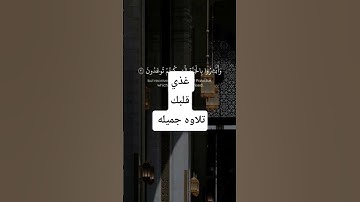 غذي #قلبك# تلاوه# جميله#قران_كريم #راحة_نفسية #دينيه #تلاوة_خاشعة #إيمان #quran #راحة_نفسية #اسلامي