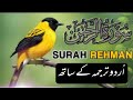 SURAH RAHMAN TARJUMA KE SATH| Epi 229 | Urdu Translation | Surah Rahman Ki Tilawat | Beautiful Voice