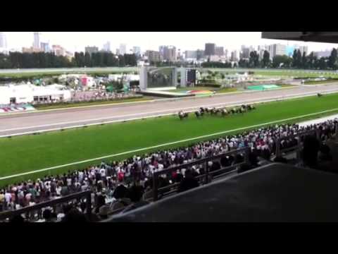 2012札幌記念 ゴール
