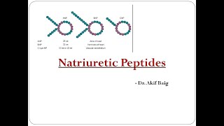 Natriuretic Peptide Dr.akif Baig