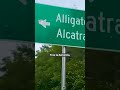 Migrante hondureño denuncia golpiza y uso de taser en centro de detención “Alligator Alcatraz”