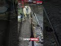 He tapped the sea can… and it escalated fast 🚔💀 #security #cctv #policearrest