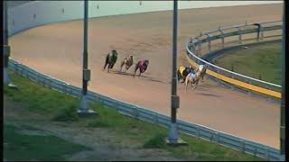 HOR TUE 29 AUG 17 R10