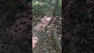 Veterans park walk.pt1