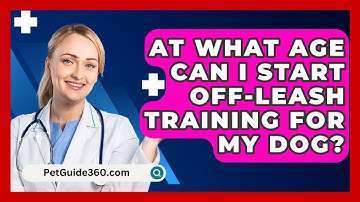 At What Age Can I Start Off-Leash Training for My Dog? - PetGuide360.com