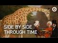 Loyal Companions: Animals Became Humanity’s Greatest Allies | Full Documentary