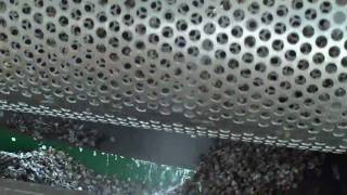 OYSTER SEED SORTING (QuickTube Sorter)