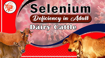 Selenium Deficiency Symptoms You Can