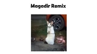 Virall Kucing Joget Magadir Remix