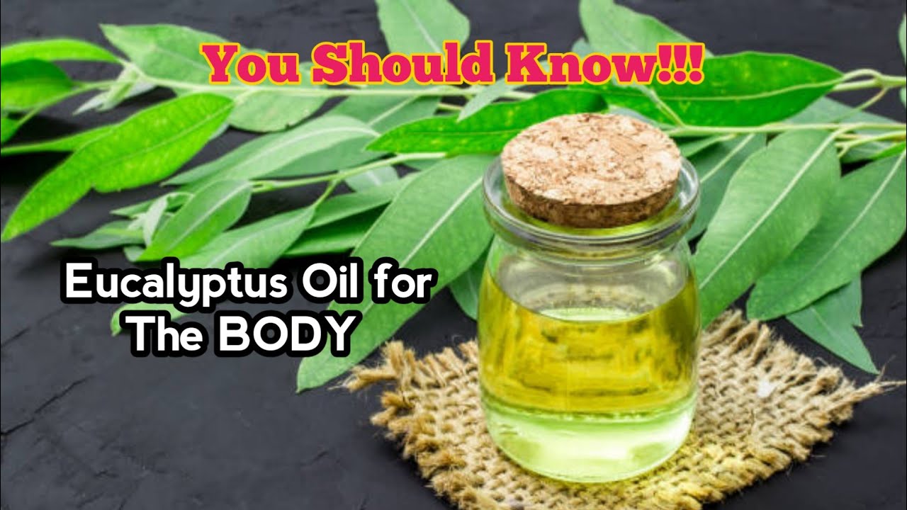 Eucalyptus Oil has Many Beneficial Effects On The Body