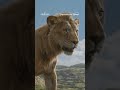Mufasa: Il Re Leone | Disponibile su Disney+