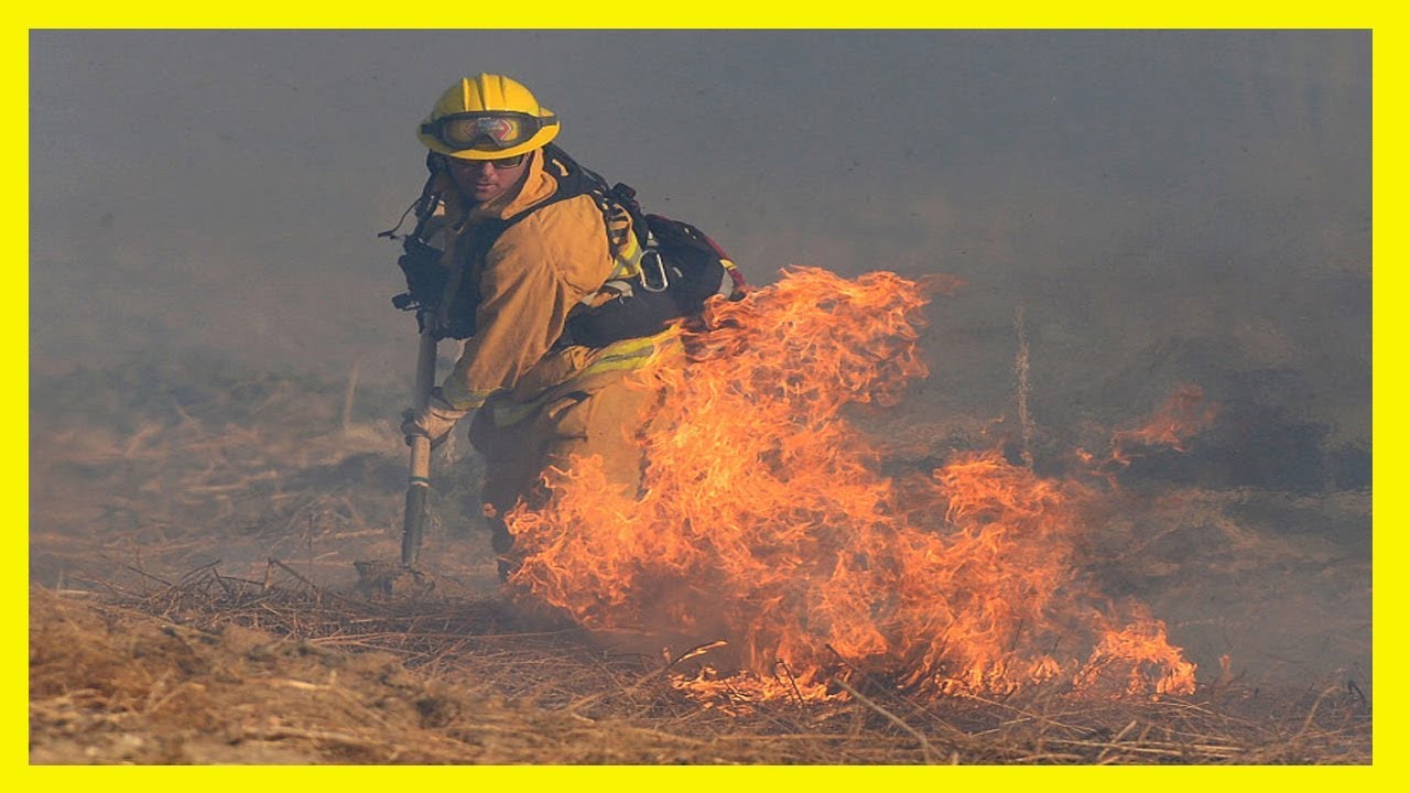 Little Mountain fire in San Bernardino is 50 percent contained ...