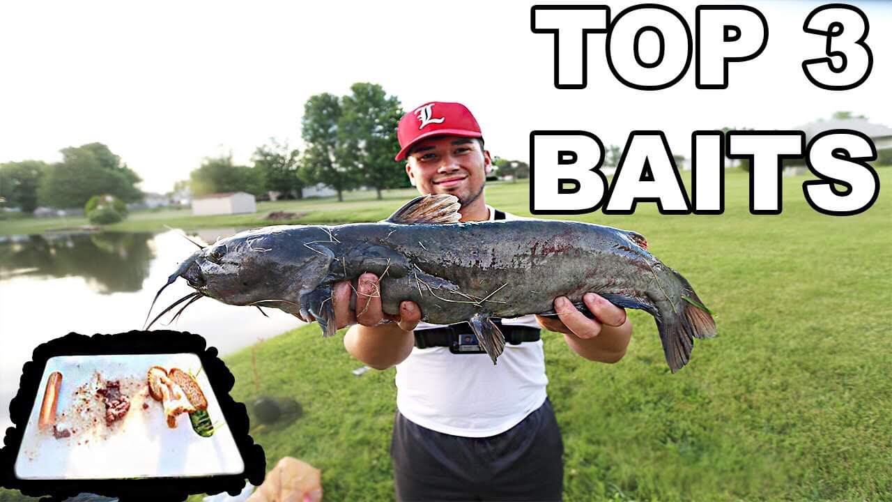 Top 3 Catfish Baits for Ponds!! 