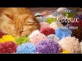 КОВРИК ИЗ ПОМПОНОВ СВОИМИ РУКАМИ / HANDMADE POM POM RUG