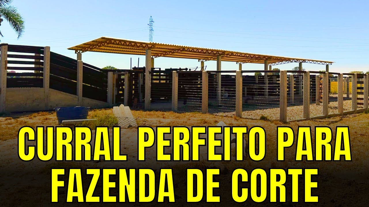 Curral de Concreto para Bovinos de Corte