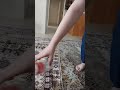Щ Щ Щ Щ ШЁШ ШІЫЊ ЪЇЪ Шґрџ Щ Щ Щ Щ ШЁШ ШІЫЊ ЪЇЪ Шґрџ