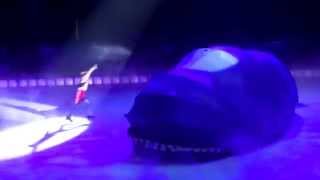 Disney on Ice 100 Ans de Magie 2015 1080p 5