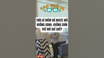 Câu Đố Vui Nhộn 3: Thử Thách Tư Duy Logic Của Bạn p82 | Cao Thủ IQ #funny #dovui #giaitri #haihuoc