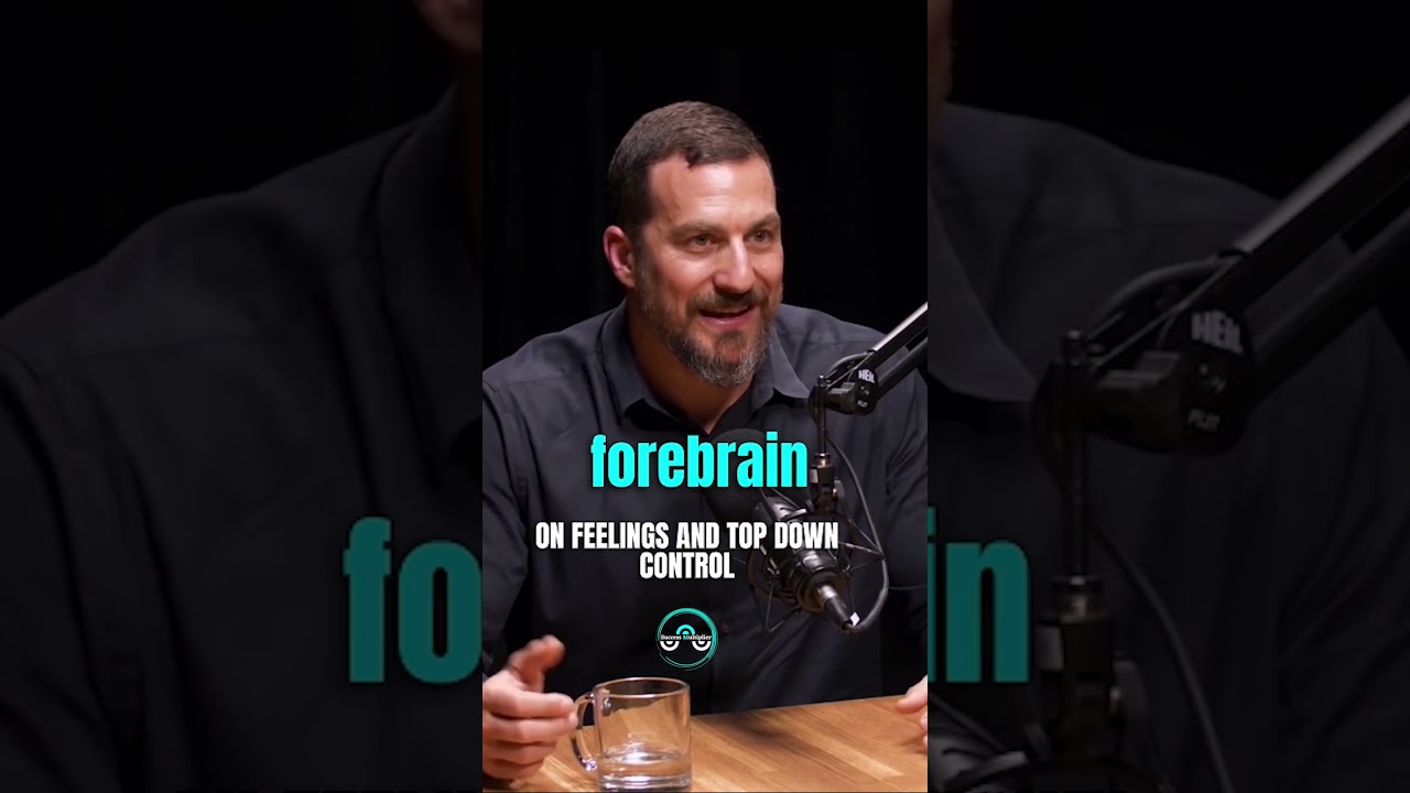 UNDERSTAND THIS ABOUT FEELINGS | HUBERMANLABCLIPS
