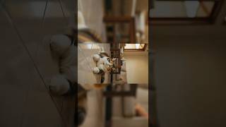 Si Gembul Naik Kereta Pel Keliling Rumah 😹 | Kucing Calico Gemoy”