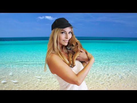 STRAY HOLIDAY PUPPY RESCUE - POTCAKE DOGS OF THE CARIBBEAN