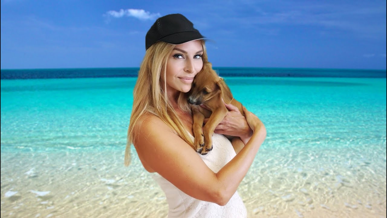 STRAY HOLIDAY PUPPY RESCUE - POTCAKE DOGS OF THE CARIBBEAN