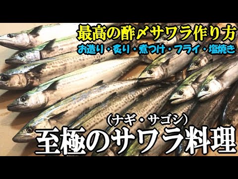 サワラ サゴシ 釣ってフルコースしたら今年no1の美味しい料理ができた 至極の酢〆サワラの作り方 炙り お造り フライ 煮つけ 塩焼き Youtube