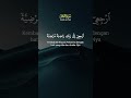 Surat Al Fajr #quran#suratalfajr #shorts