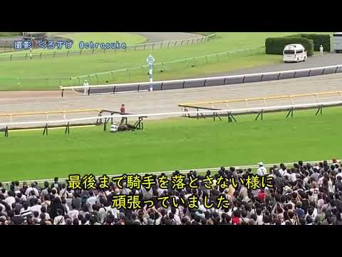 日本ダービー  2番人気スキルヴィング、急性心不全で死亡