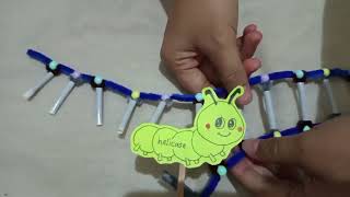 Simple Simulation about DNA Replication and Transcriptiom by group 6