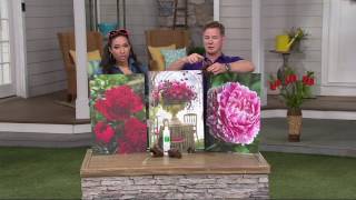 Robertas 3-teilige Parfüm-Kollektion Princess Peony auf QVC