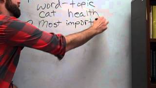 Main Idea Mini-Lesson