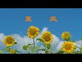 Ateris Pan「夏風」Music Video