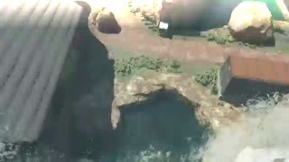 BO3 Edit Re-upload